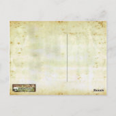 Werewolf Fur Postkarte (Rückseite)