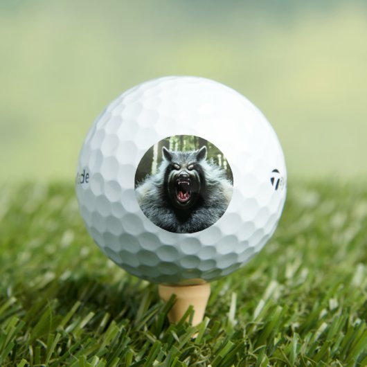 Werewolf Taylor Made TP5 Golfbälle 12 pk (Insitu T-Shirt)