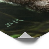 Werewolf Who Ate The Whole Village Value Poster (Ecke)