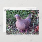 Werft 1 postkarte (Vorne/Hinten)