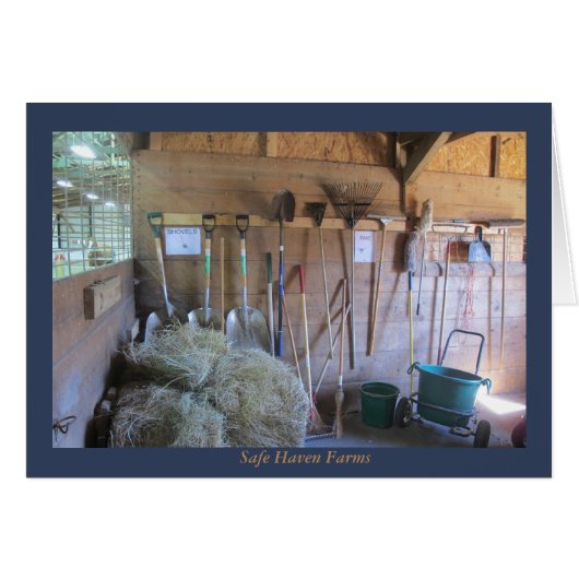 Werkzeug-Gestell an den sicherer Hafen-Bauernhöfen (Vorderseite (Horizontal))