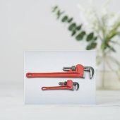 Werkzeuge für den Handel - Zwei Affenbogenfarben Postkarte (Stehend Vorderseite)