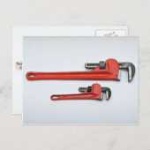 Werkzeuge für den Handel - Zwei Affenbogenfarben Postkarte (Vorne/Hinten)