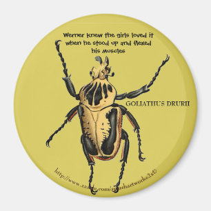 "Werner ließ seine Muskeln für die Mädchen spielen Magnet