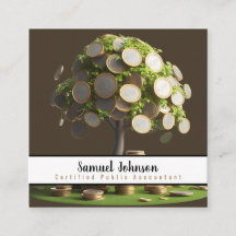 Wertpapierbroker-CPA des Verwalters von Investment