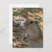 Wertschätzen Sie die Wüstentierart "Ground Eichhör Postkarte (Vorne/Hinten)