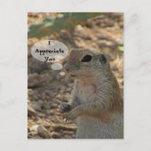 Wertschätzen Sie die Wüstentierart "Ground Eichhör Postkarte (Vorderseite)