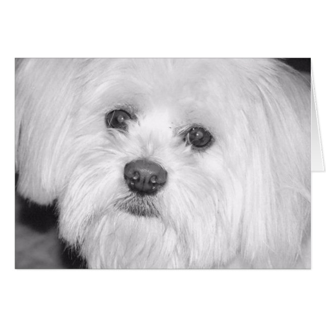 wertvoll (Vorderseite (Horizontal))