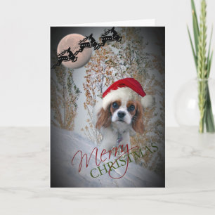 Wertvoll Cavalier King Charles Weihnachtskarten Feiertagskarte