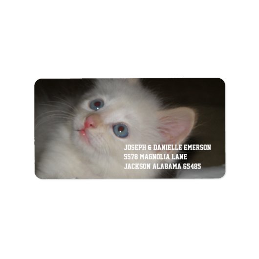 Wertvoll Kitten Adressaufkleber (Vorne)