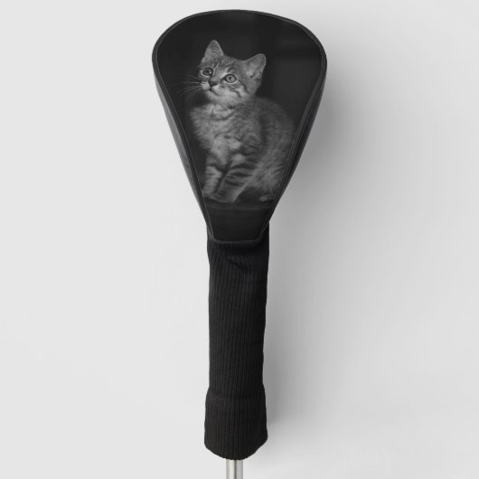 Wertvoll Kitten Golf Headcover (Vorderseite)
