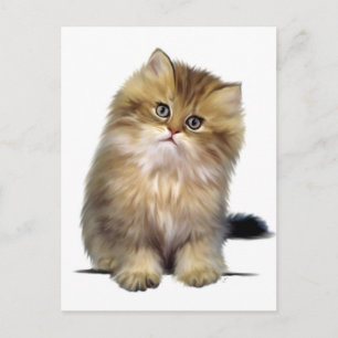 Wertvoll Kitten Postkarten