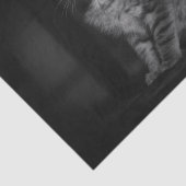 Wertvoll Kitten Seidenpapier (Ausschnitt)