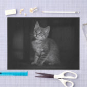 Wertvoll Kitten Seidenpapier (Handwerk)
