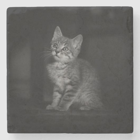 Wertvoll Kitten Steinuntersetzer (Vorderseite)