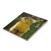 Wertvoll Kitty Tile Trivet Fliese (Seite)