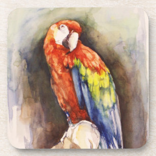 Wertvoll Parrot Cork Untersetzer