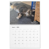 .Wertvoll Paws 2025 Calendar. Kalender (Mär 2026)