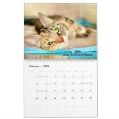 .Wertvoll Paws 2025 Calendar. Kalender (Feb 2026)