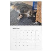 .Wertvoll Paws 2025 Calendar. Kalender (Mär 2027)