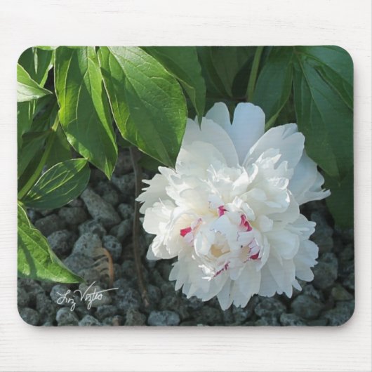 Wertvoll Peony Mousepad (Vorne)