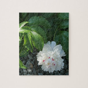Wertvoll Peony Puzzle