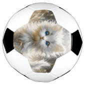 Wertvoll White Kitten Fußball (Gedreht)