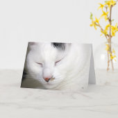 Wertvolle 2, erhalten gut bald karte (Gelbe Blume)