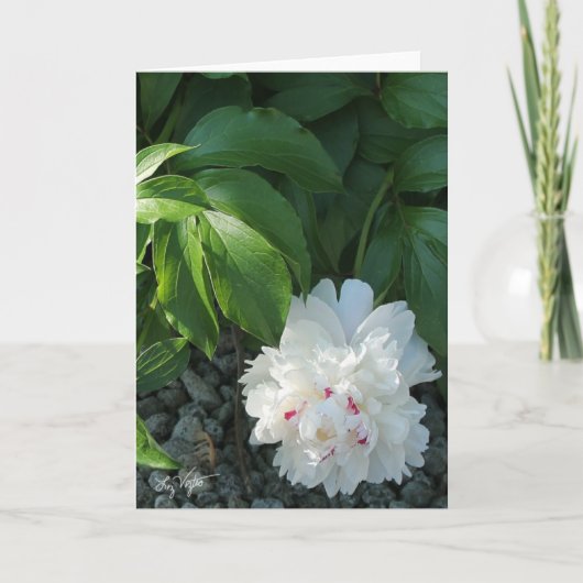 Wertvolle Blindgrüße und/oder Notizkarte Karte (Vorderseite)