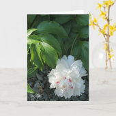 Wertvolle Blindgrüße und/oder Notizkarte Karte (Gelbe Blume)