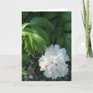 Wertvolle Blindgrüße und/oder Notizkarte Karte