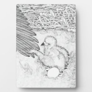 WERTVOLLE E14 MACHT OZZIE MIT EGGBERT2 FOTOPLATTE