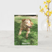 Wertvolle Hunde-Reihe:  Marron Karte (Gelbe Blume)