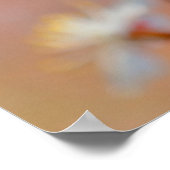 Wertvolle japanische Apricot-Blume Poster (Ecke)