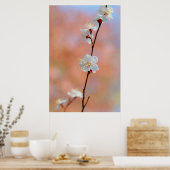 Wertvolle japanische Apricot-Blume Poster (Küche)