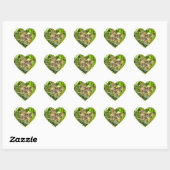Wertvolle Jungle Kitty Stickers (Blatt)