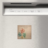 Wertvolle Juwelen Magnet (In Situ (Geschirrspüler))