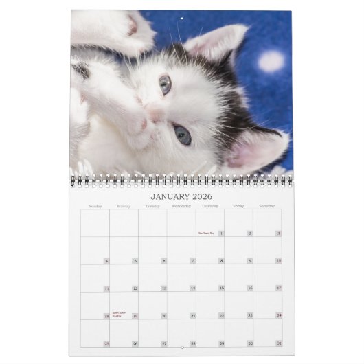 Wertvolle Kätzchen Kalender (Jan 2026)