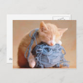 Wertvolle Katze und Kitten Fotos, Geschenke - Geei Postkarte (Vorne/Hinten)