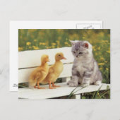 Wertvolle Katzen, Kätzchen, Geschenke - Individuel Postkarte (Vorne/Hinten)