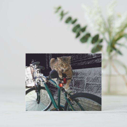 Wertvolle Kitty Waits für Besitzer zum Biken Postkarte (Stehend Vorderseite)