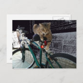 Wertvolle Kitty Waits für Besitzer zum Biken Postkarte (Vorne/Hinten)