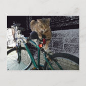 Wertvolle Kitty Waits für Besitzer zum Biken Postkarte (Vorderseite)