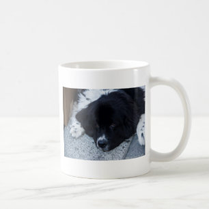 Wertvolle Landseer Neufundland Geschenke Kaffeetasse