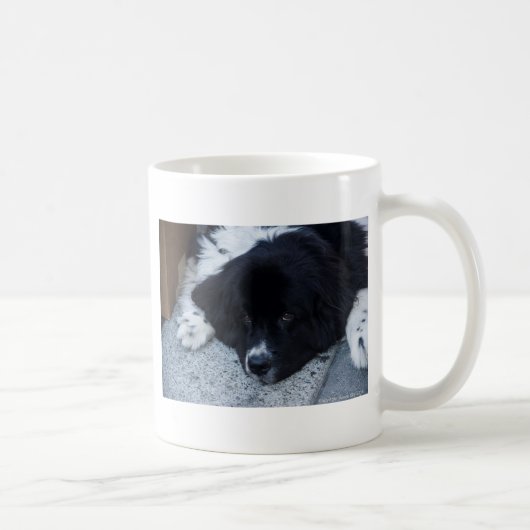 Wertvolle Landseer Neufundland Geschenke Kaffeetasse (Rechts)