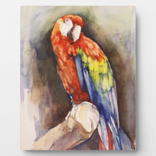 Wertvolle Parrot Plaque Fotoplatte (Vorderseite)