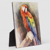 Wertvolle Parrot Plaque Fotoplatte (Seite)