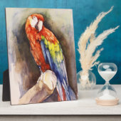 Wertvolle Parrot Plaque Fotoplatte (Seite)