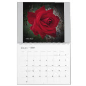Wertvolle Rose 2026 Mauerkalender von STAN VG Kalender (Jan 2027)