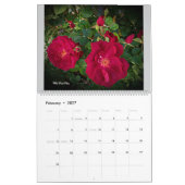 Wertvolle Rose 2026 Mauerkalender von STAN VG Kalender (Feb 2027)